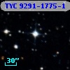 TYC 9291-1775-1
