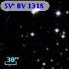 SV* BV  1318