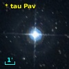 * tau Pav
