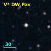 V* DW Pav