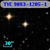 TYC 9083-1205-1