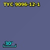TYC 9096-12-1