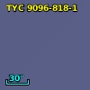 TYC 9096-818-1
