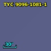TYC 9096-1081-1