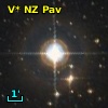 V* NZ Pav