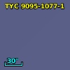 TYC 9095-1077-1