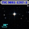 TYC 9091-1287-1