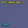 TYC 9095-492-1