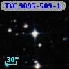 TYC 9095-509-1
