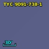 TYC 9091-738-1