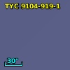 TYC 9104-919-1