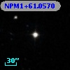 NPM1+61.0570