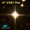 V* V387 Pav