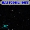 IRAS F20481-6055
