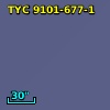 TYC 9101-677-1