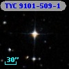 TYC 9101-509-1
