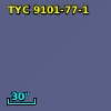 TYC 9101-77-1