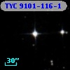 TYC 9101-116-1