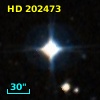 HD 202473