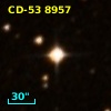 CD-53  8957