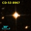 CD-53  8967