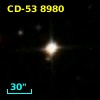 CD-53  8980