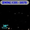 [EM96] COS-1079