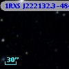 1RXS J222132.3-484631
