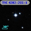 TYC 4202-255-1