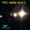 TYC 4202-613-1