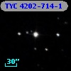 TYC 4202-714-1