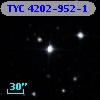 TYC 4202-952-1