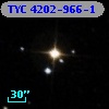 TYC 4202-966-1