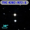 TYC 4202-972-1