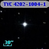 TYC 4202-1004-1