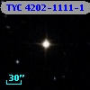 TYC 4202-1111-1