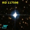 HD 117598