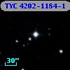 TYC 4202-1184-1