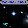 TYC 4202-1266-1