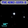 TYC 4202-1373-1