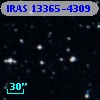 IRAS 13365-4309