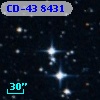CD-43  8431