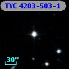 TYC 4203-503-1