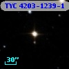 TYC 4203-1239-1