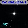 TYC 4206-1224-1
