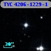 TYC 4206-1229-1