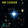 HD 123224
