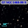 Cl* NGC 5460     BB       8