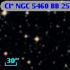 Cl* NGC 5460     BB      25