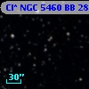 Cl* NGC 5460     BB      28